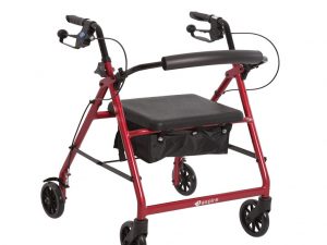 Aspire Seat Walker